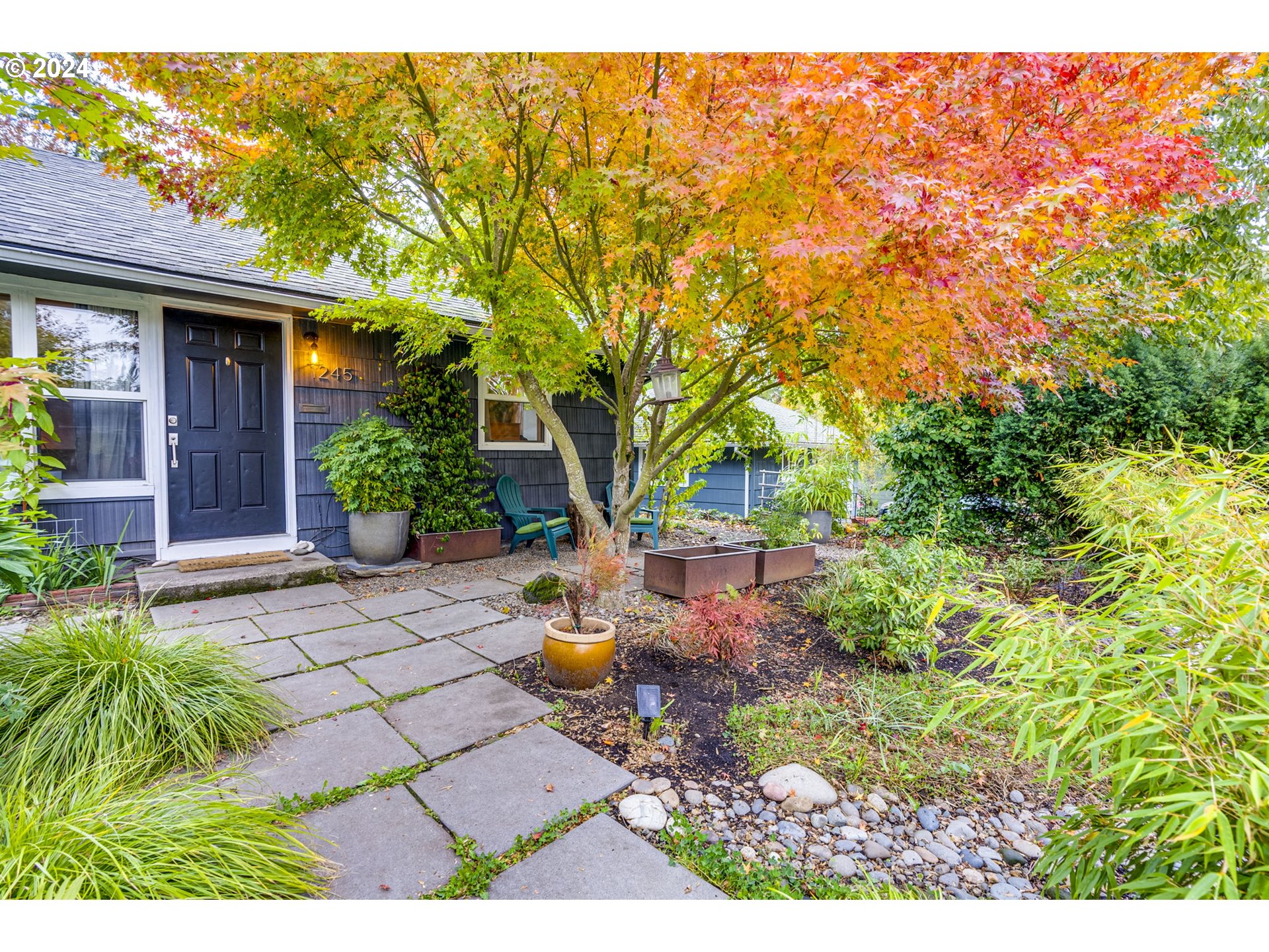 a view of a yard with plants and large trees