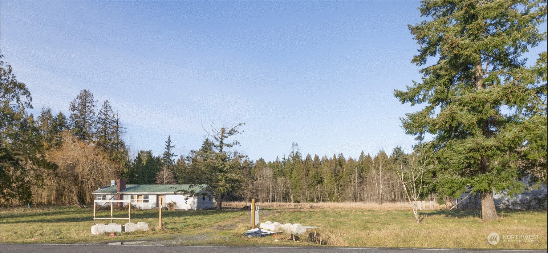 a view of a yard with trees