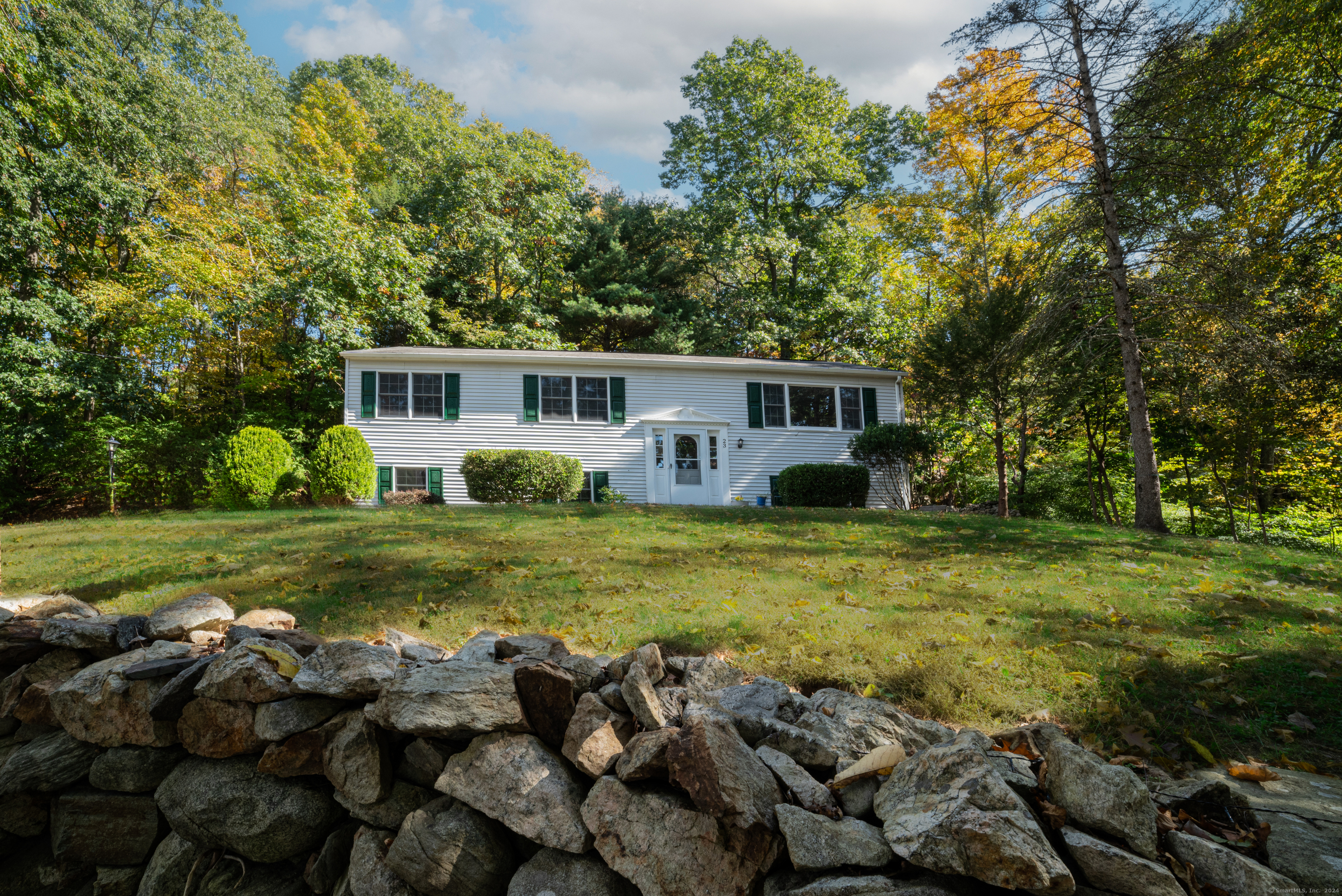 a front view of house with yard and green space