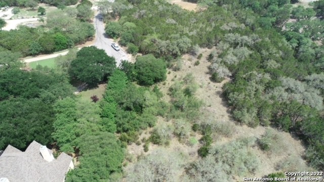 a view of a forest with a houses