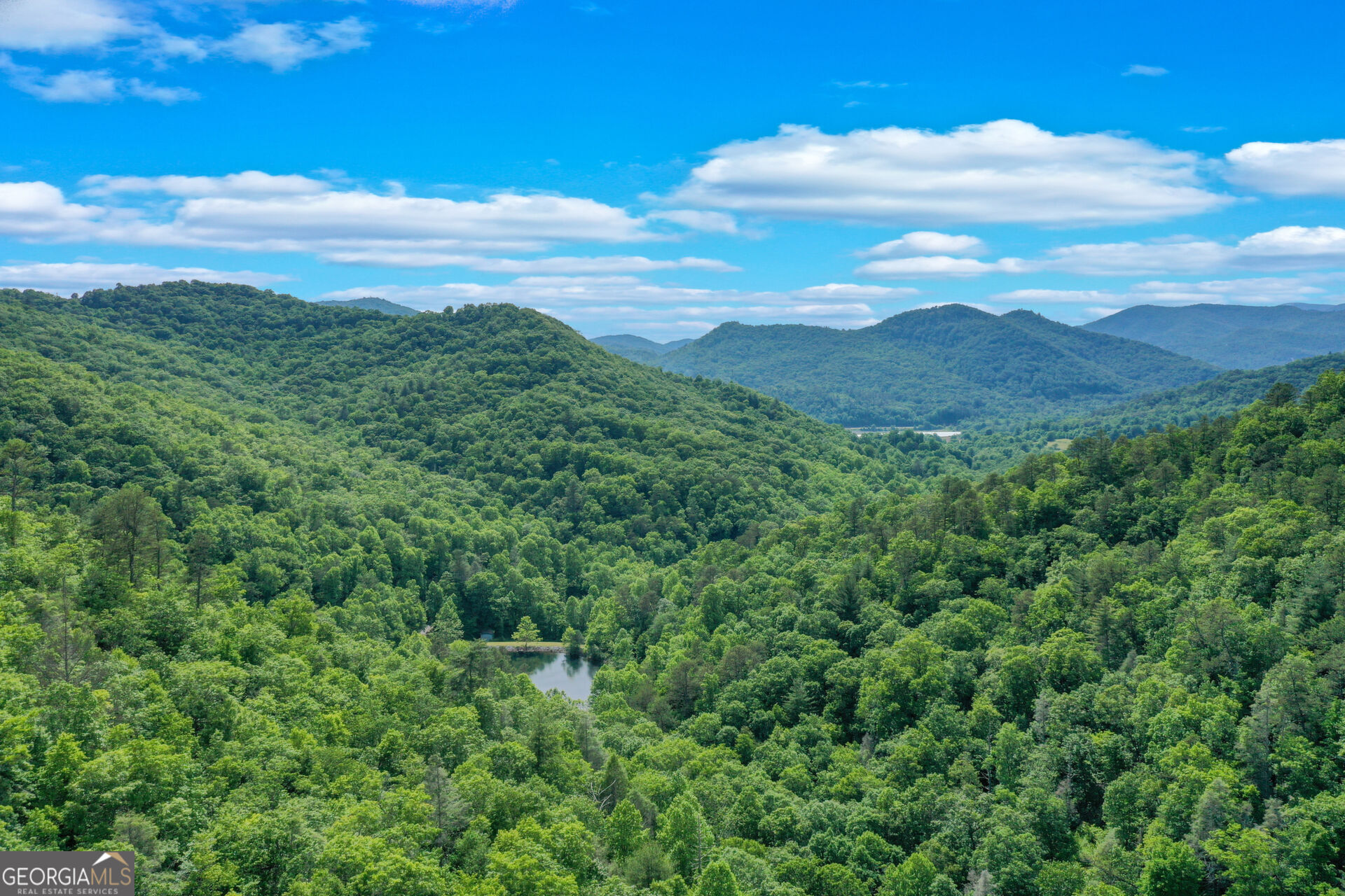 a view of a city with lush green forest