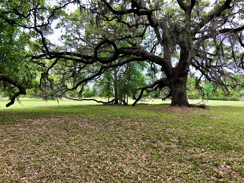 a view of backyard with green space