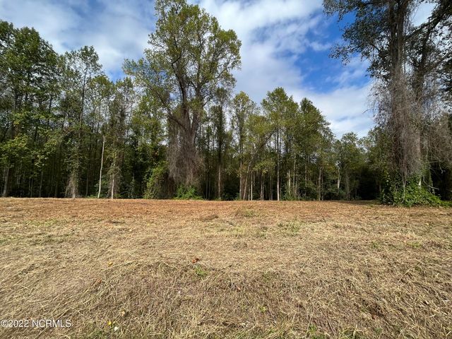 $15,000 | Lot B Tyree Road | Neuse Township - Lenoir County