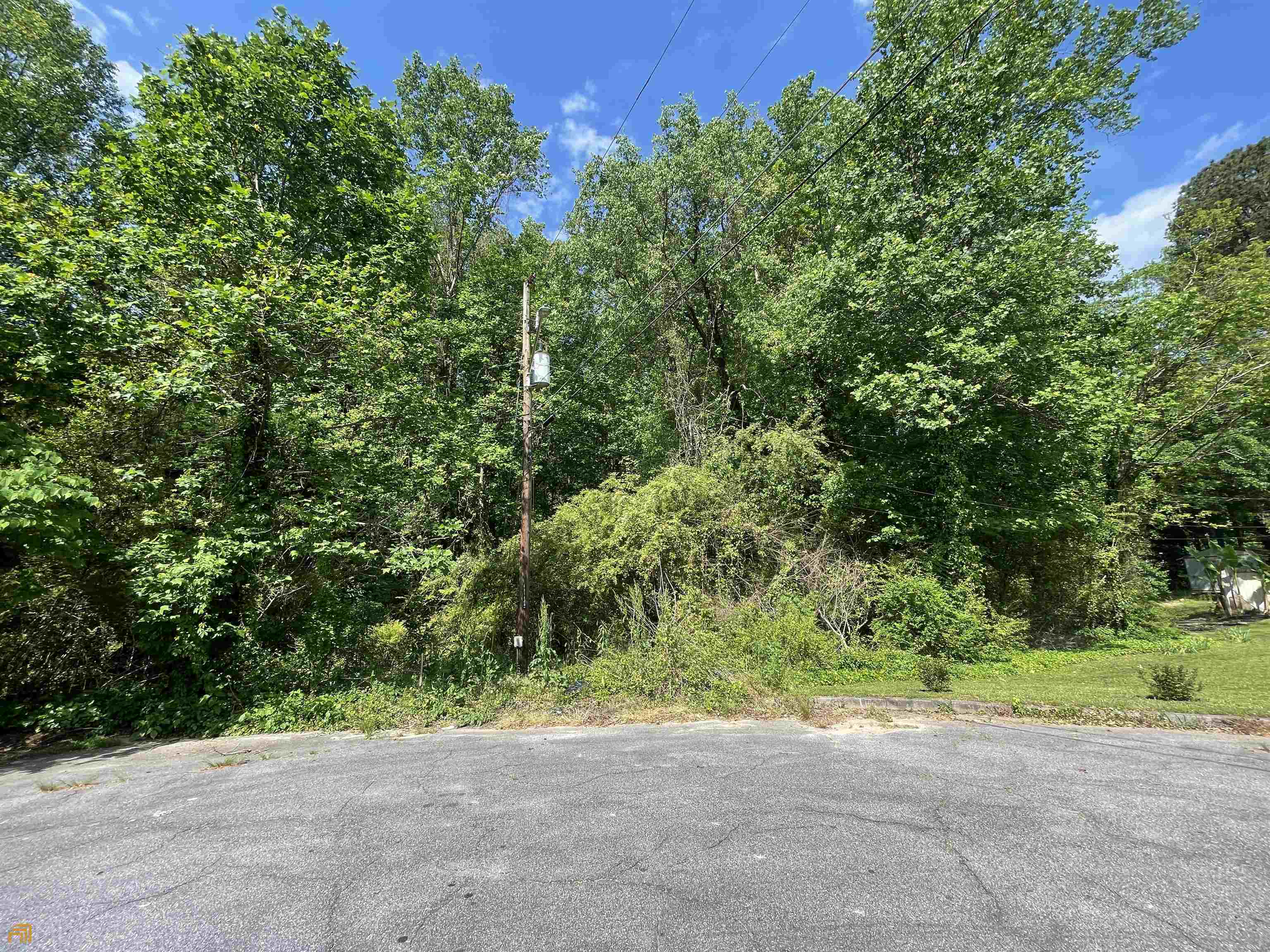 a view of a yard with plants and trees