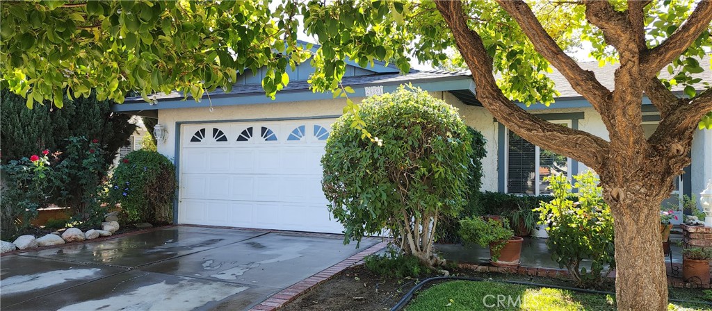 front view of a house with a tree