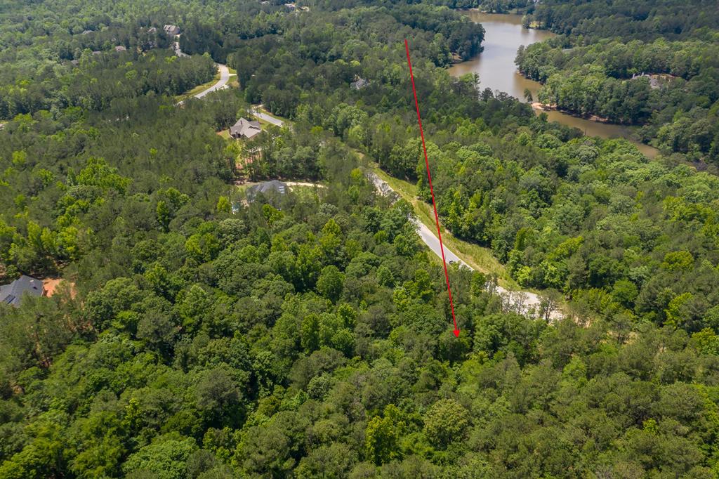 an aerial view of residential houses with outdoor space and trees