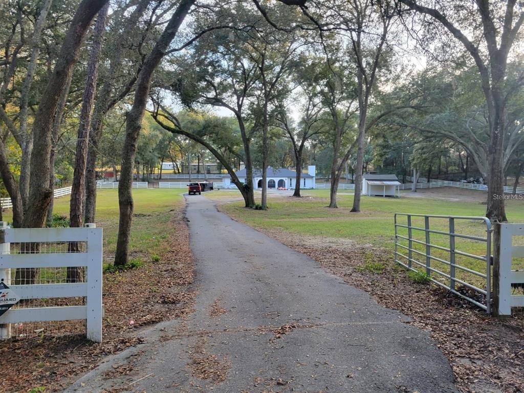 a view of a park with large trees