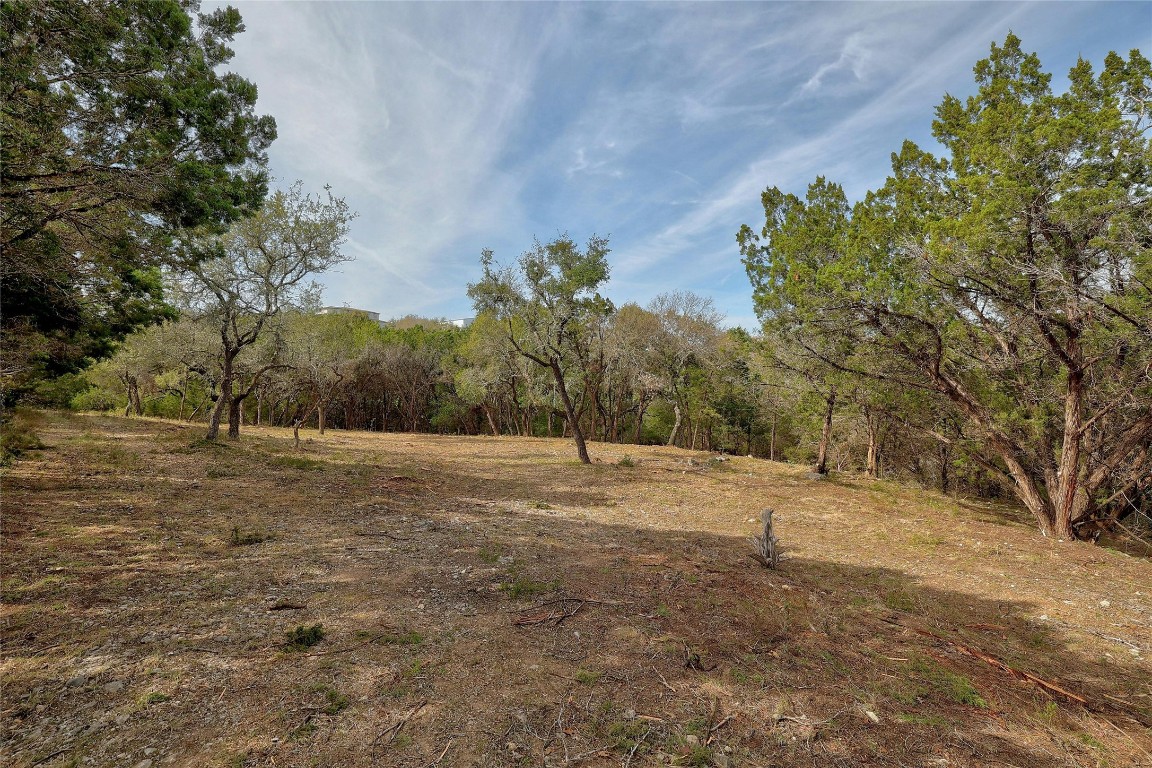 a view of dirt field with large trees