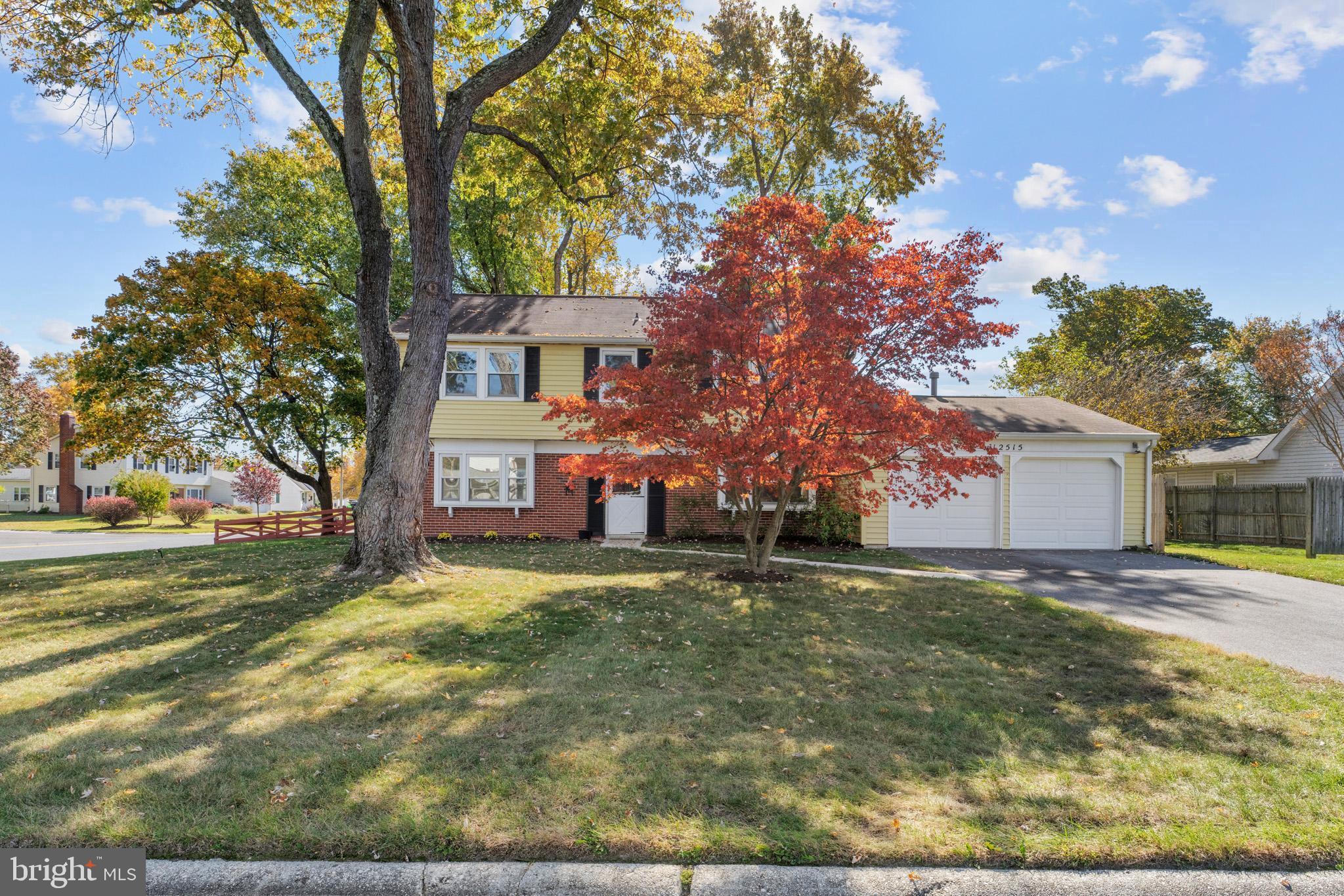 a view of a yard with a large tree