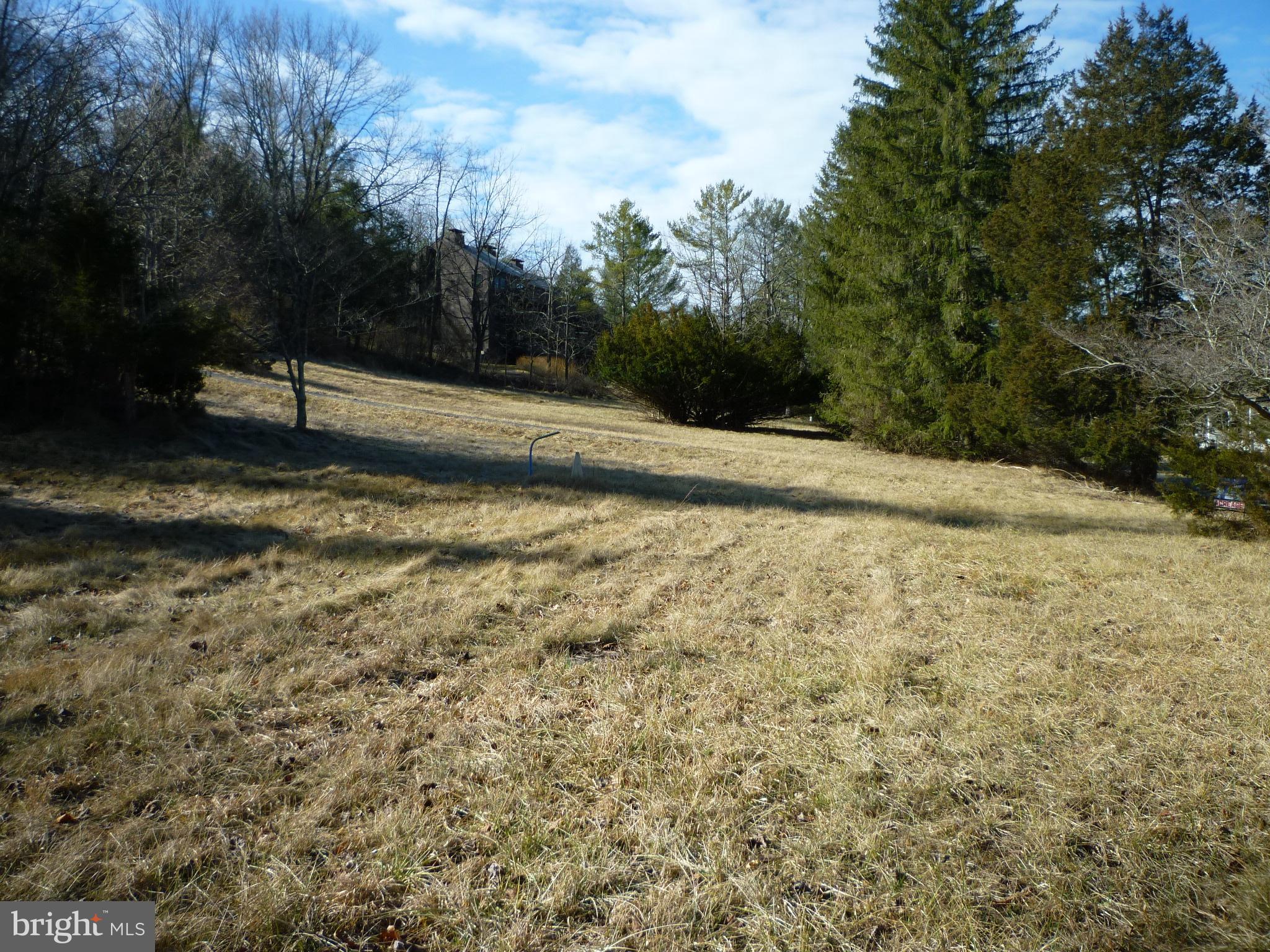 a view of a yard with wooden fence