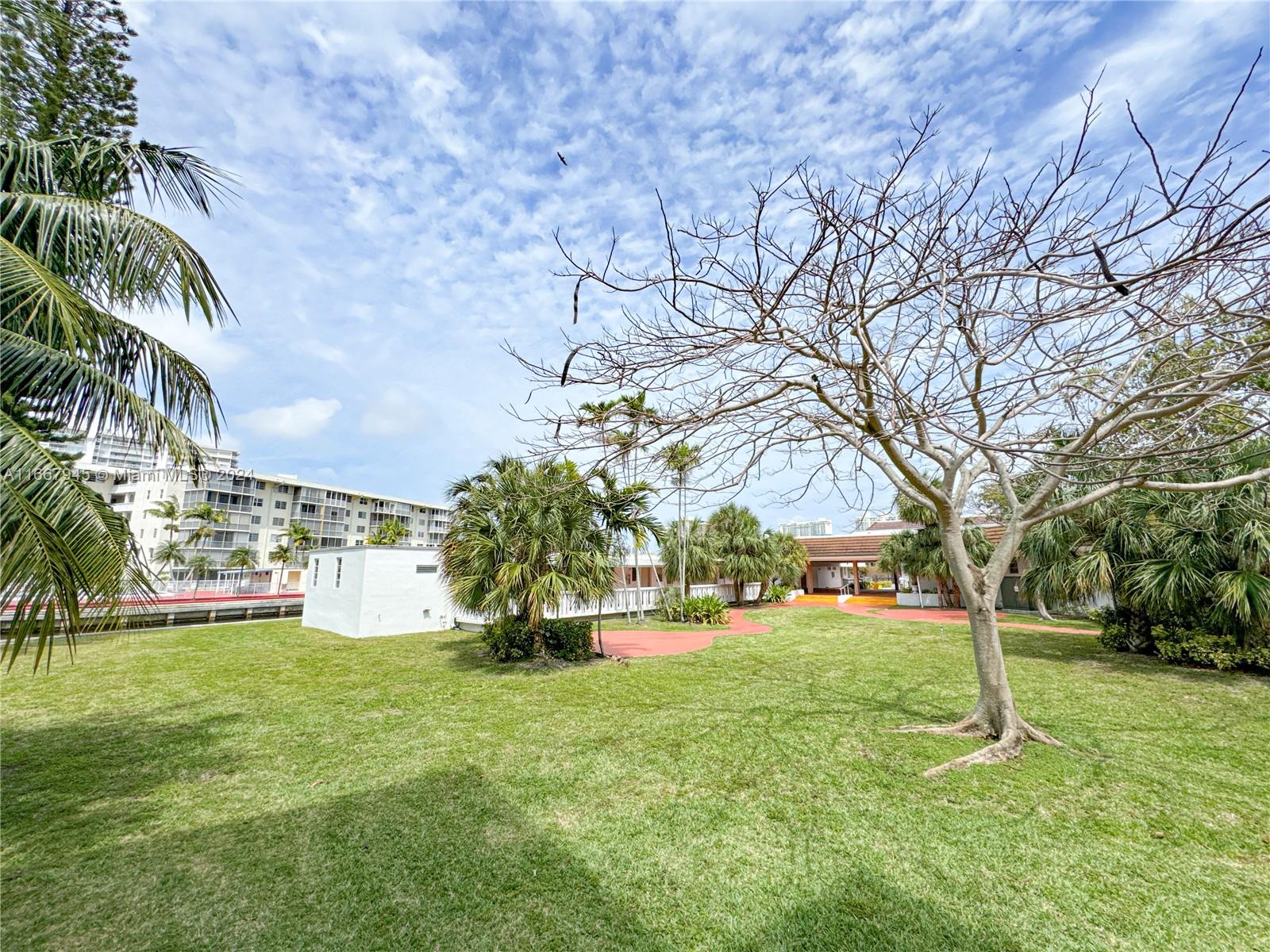 a view of a yard with plants and trees