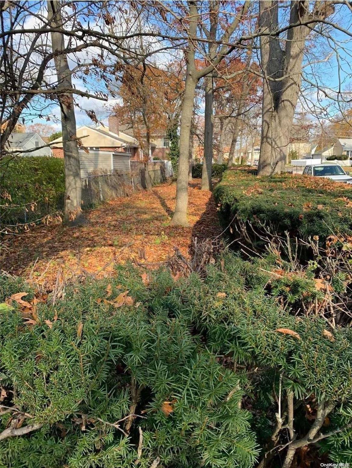 a view of a yard with plants and trees