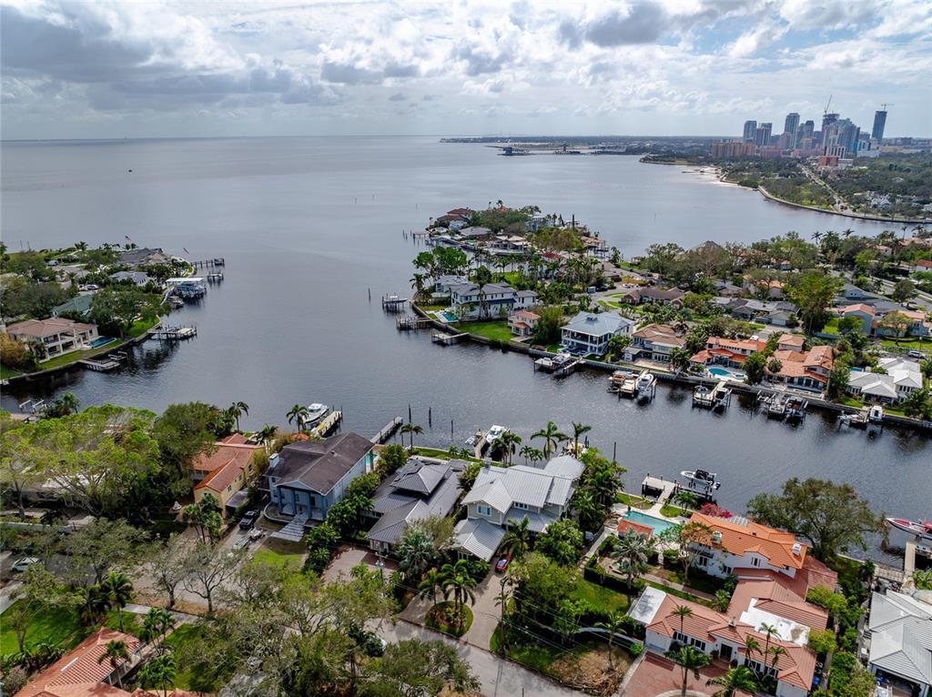 an aerial view of a houses and lake view