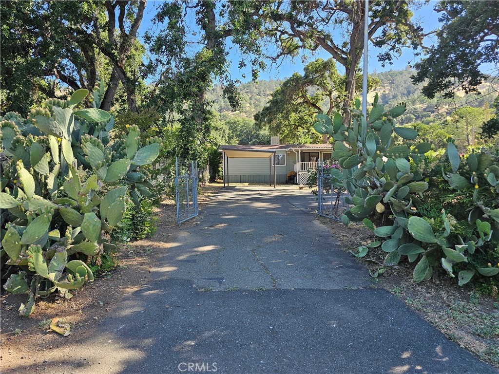 a view of a house with a tree and yard