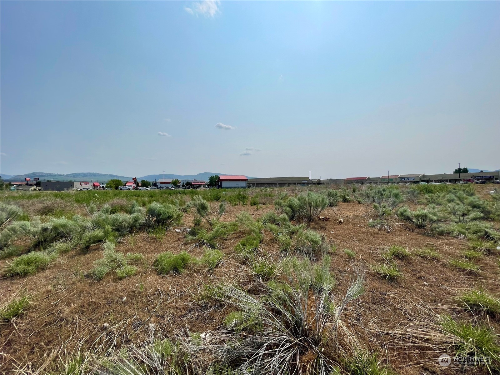 a view of a field with an ocean