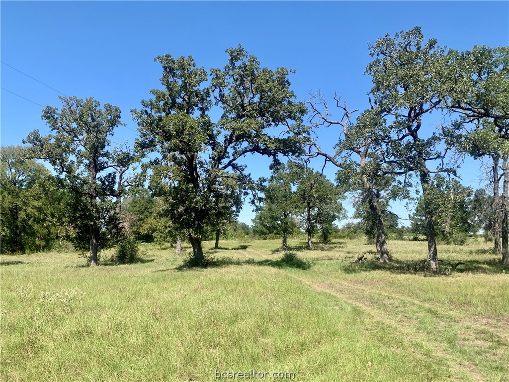 a view of outdoor space with trees