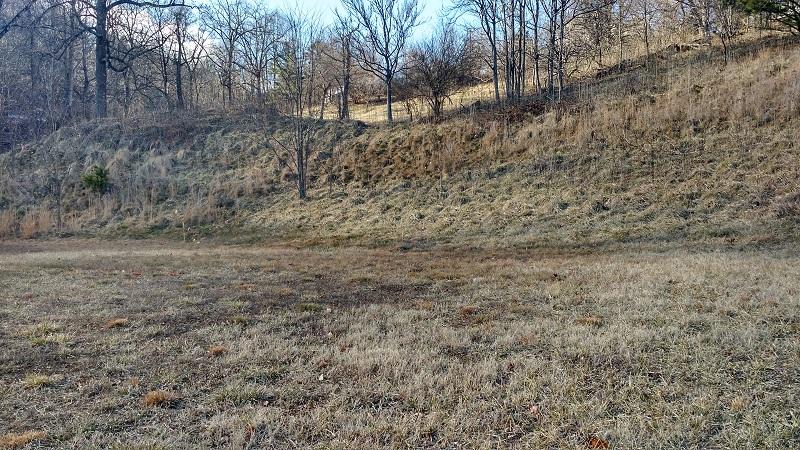 a view of a dry yard with trees