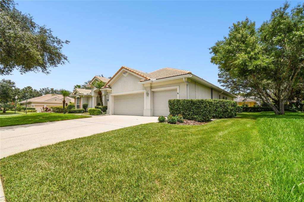 a view of a house with a big yard plants and large trees