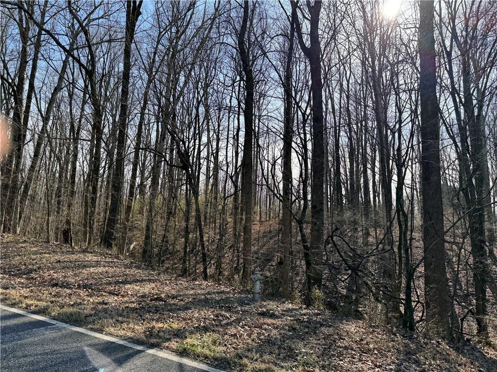 a view of a backyard with trees