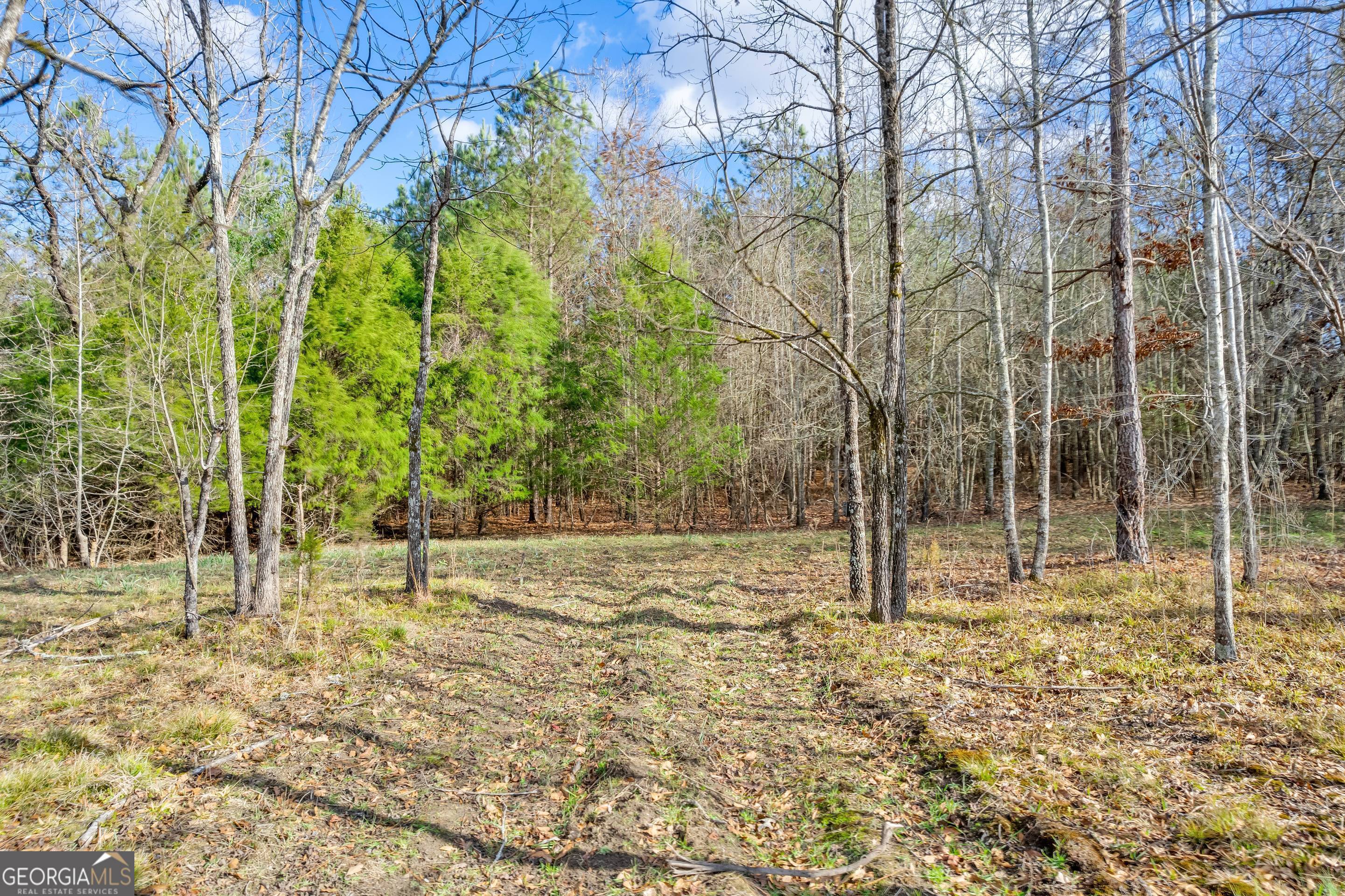 a view of empty room with trees