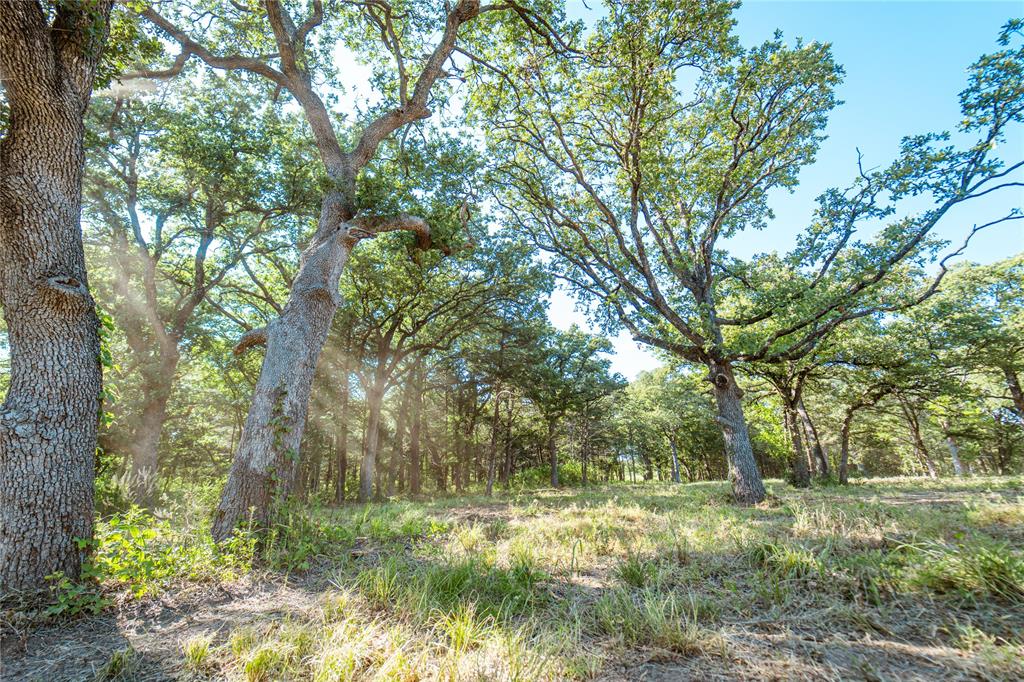 a big yard with lots of green space and trees around