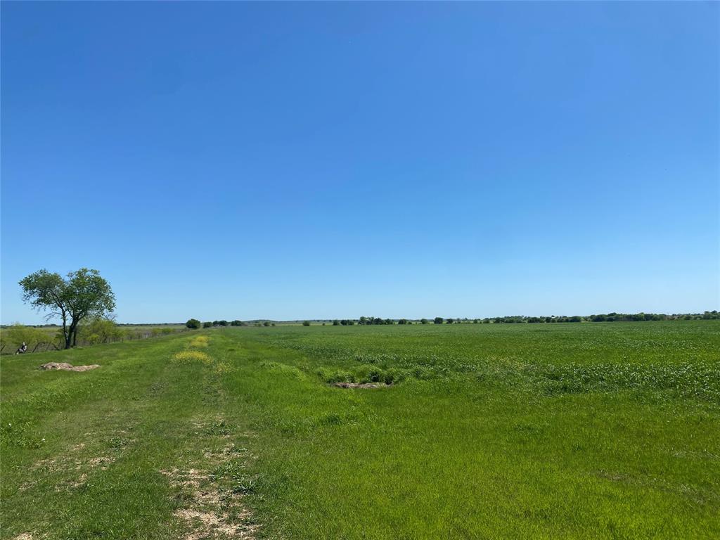 a view of a field with an ocean