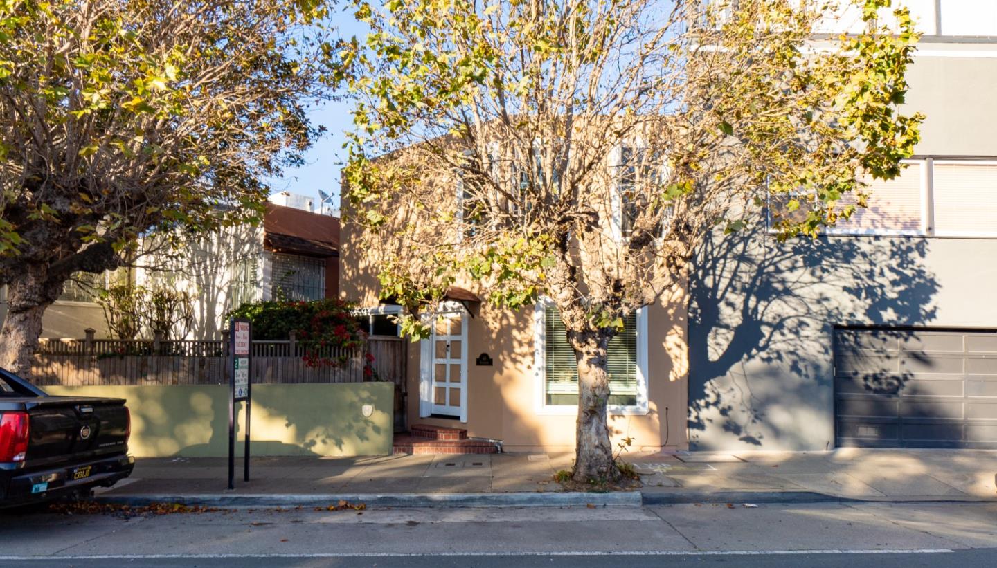 a street view with large trees