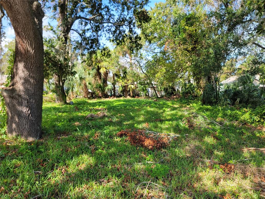 a view of yard with green space