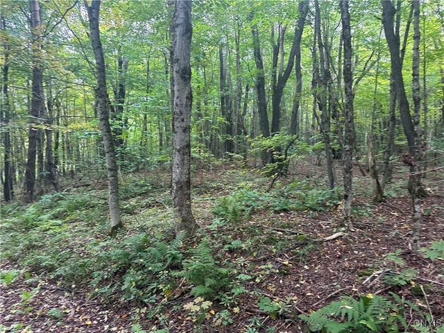 $29,900 | Lot 1 Bice Road | Worth