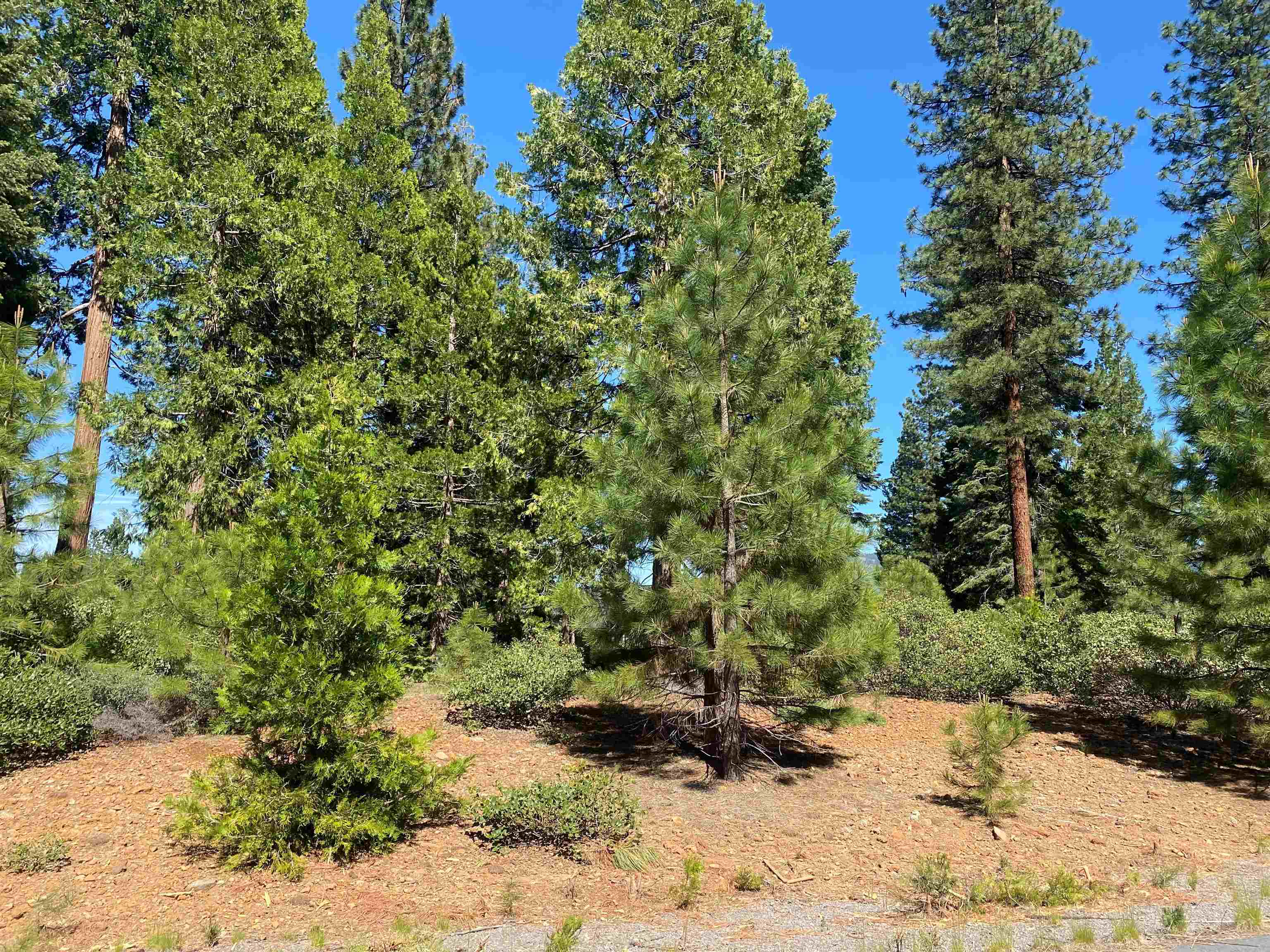 a view of a backyard of the house