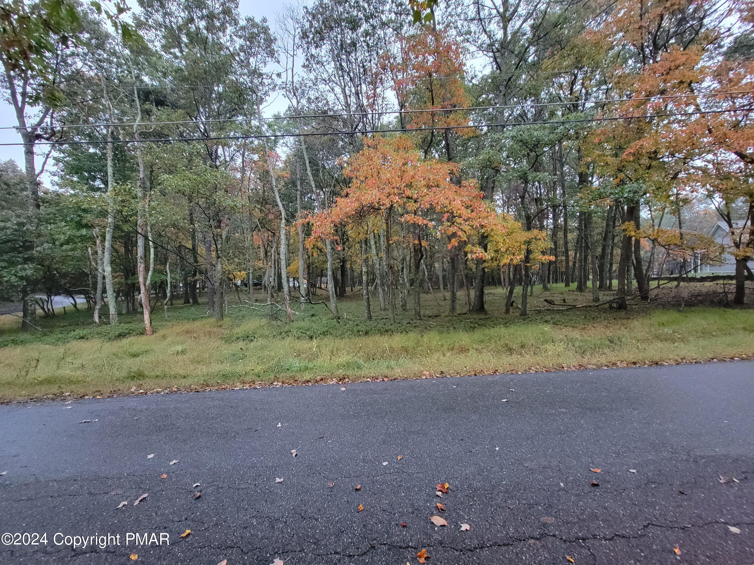 a view of outdoor space with trees