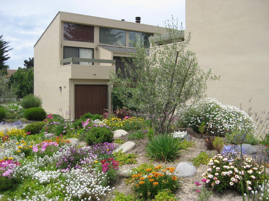 a front view of a house with a yard and covered with flower plants