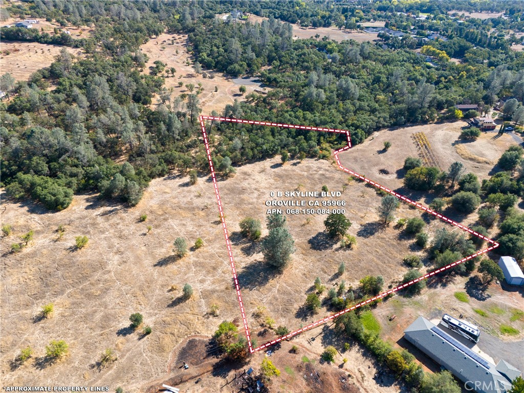 a view of a dry yard with a tree