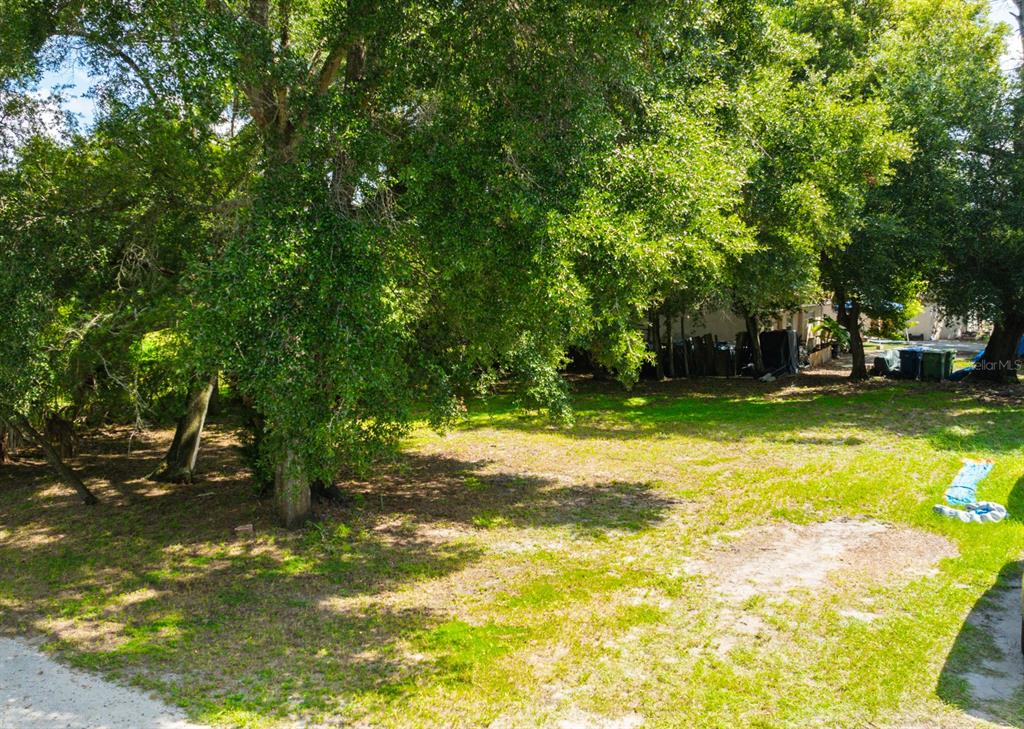 a view of a yard with a tree