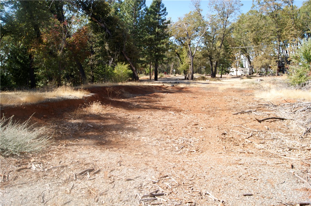 a view of outdoor space with trees