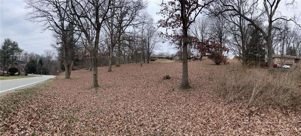 a view of a forest filled with trees