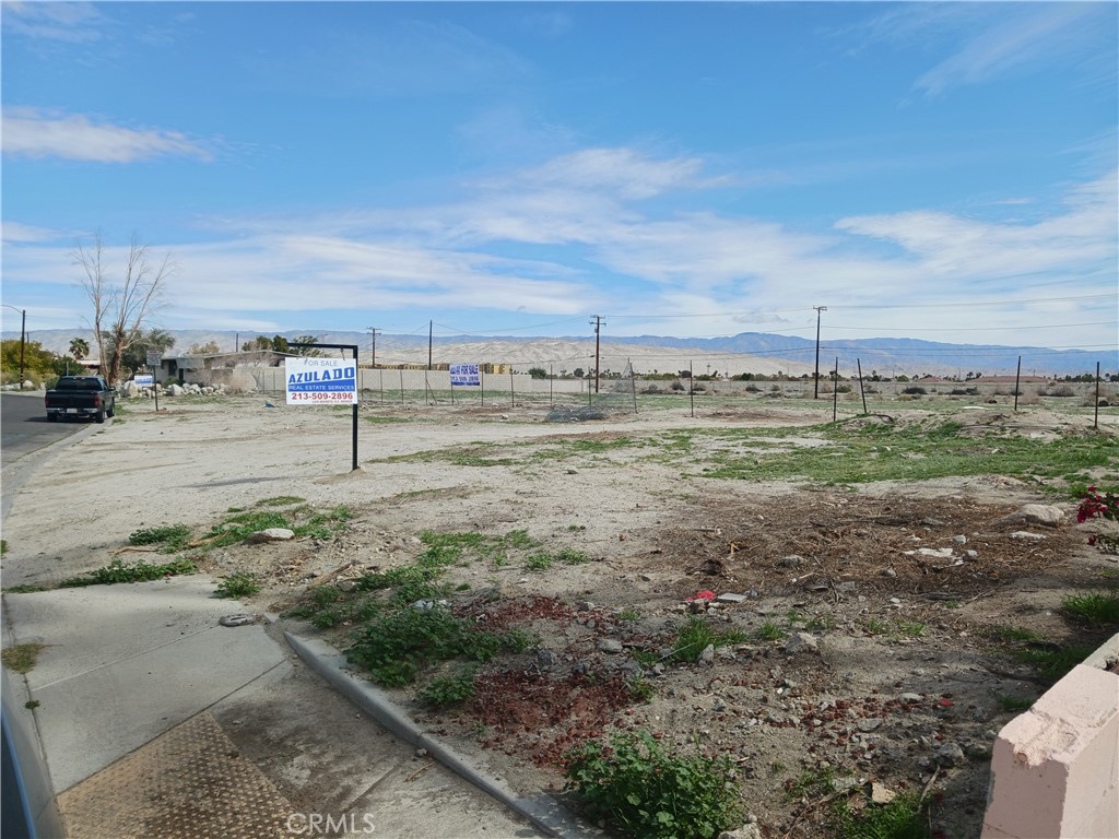 a view of a dry yard with trees