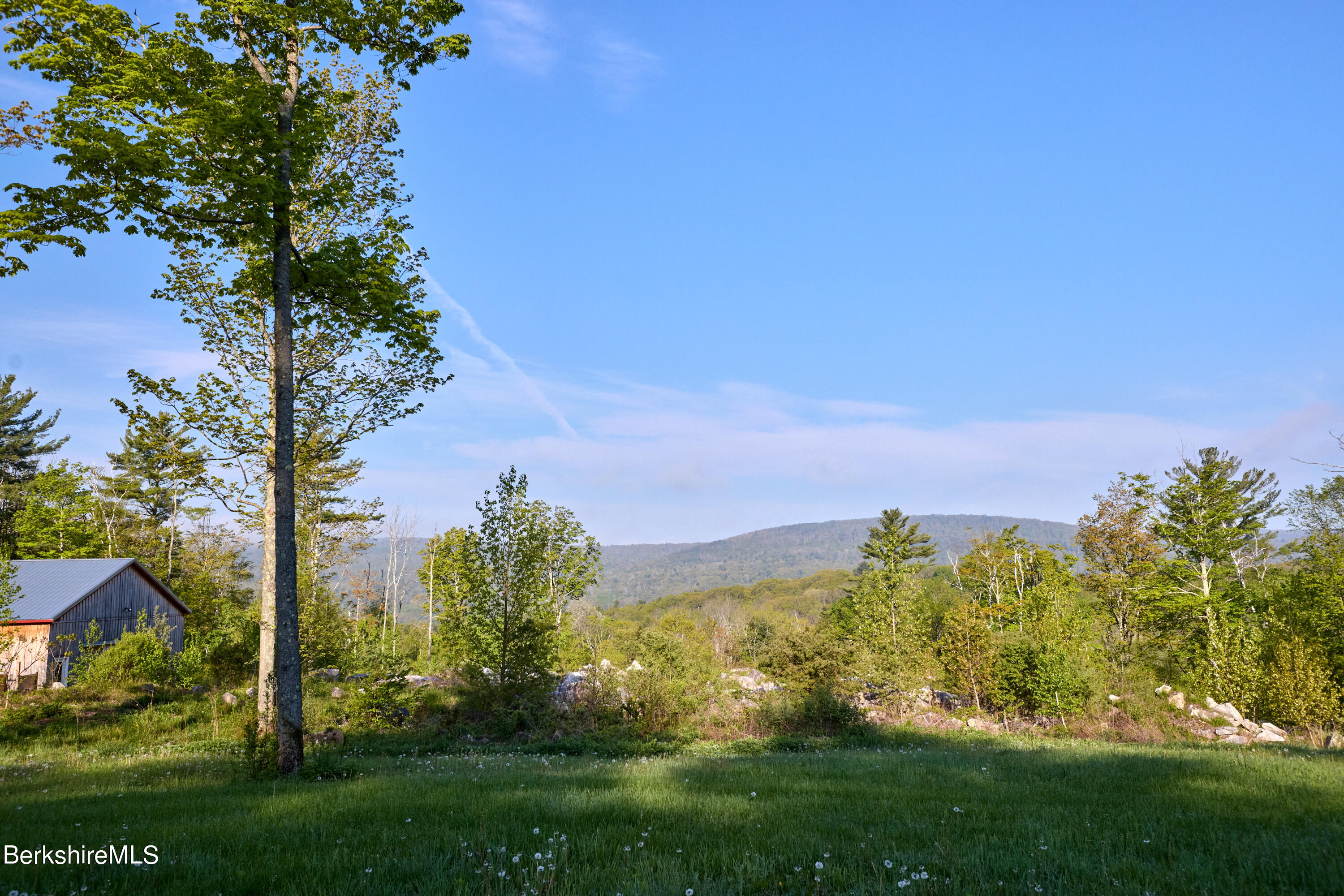 a view of a big yard with a large trees