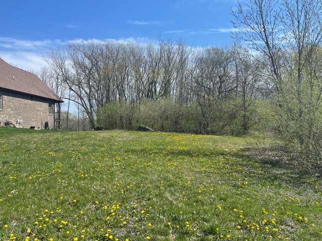 a view of a yard with an tree