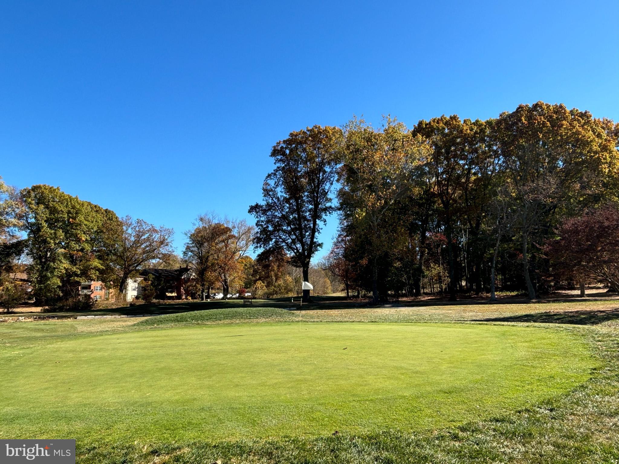 a view of yard with green space