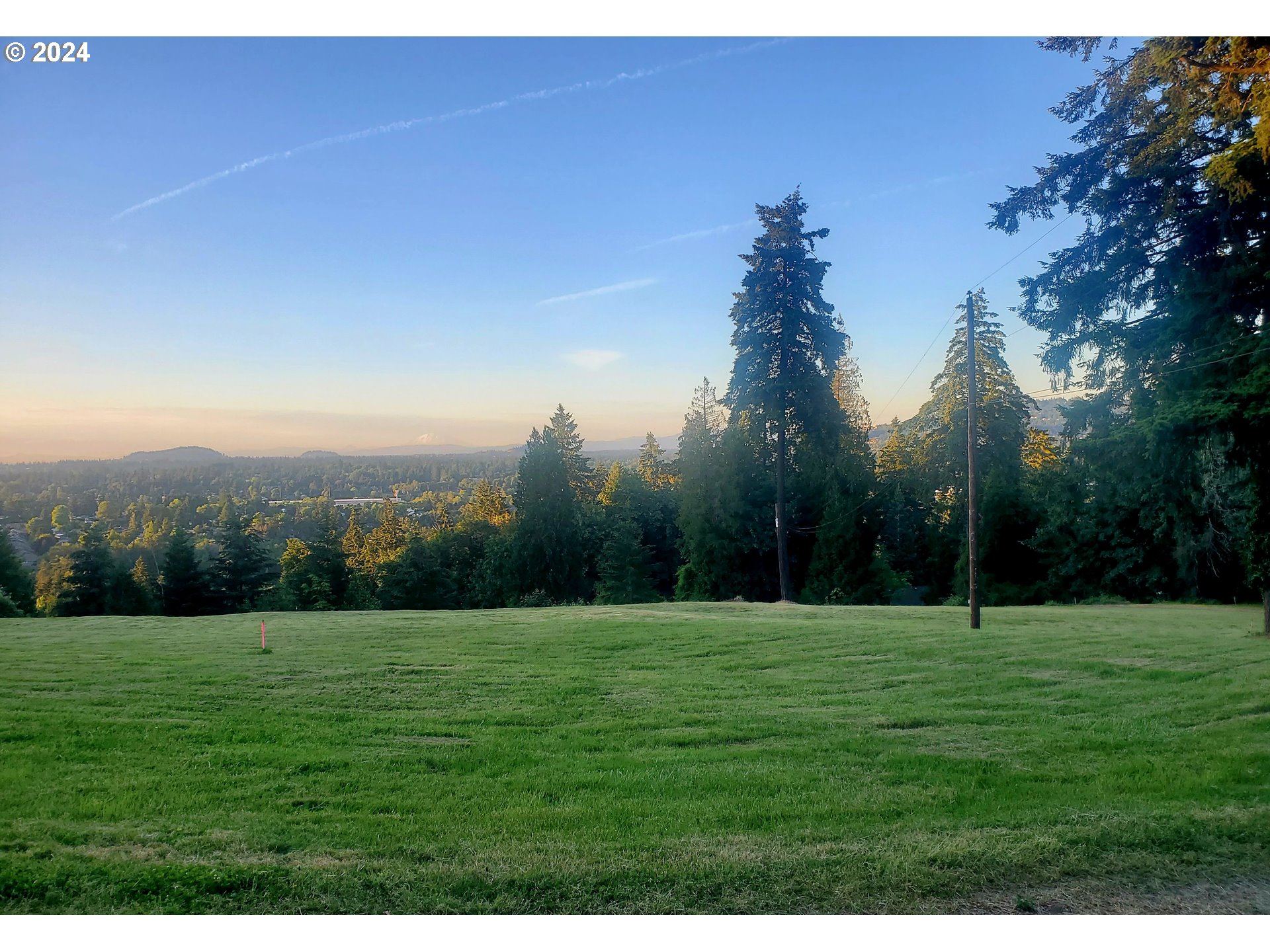 a view of a grassy field with trees in the background