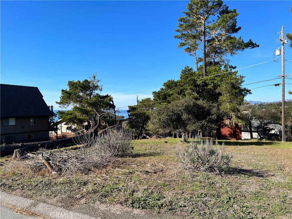 a view of a yard covered with snow in the background