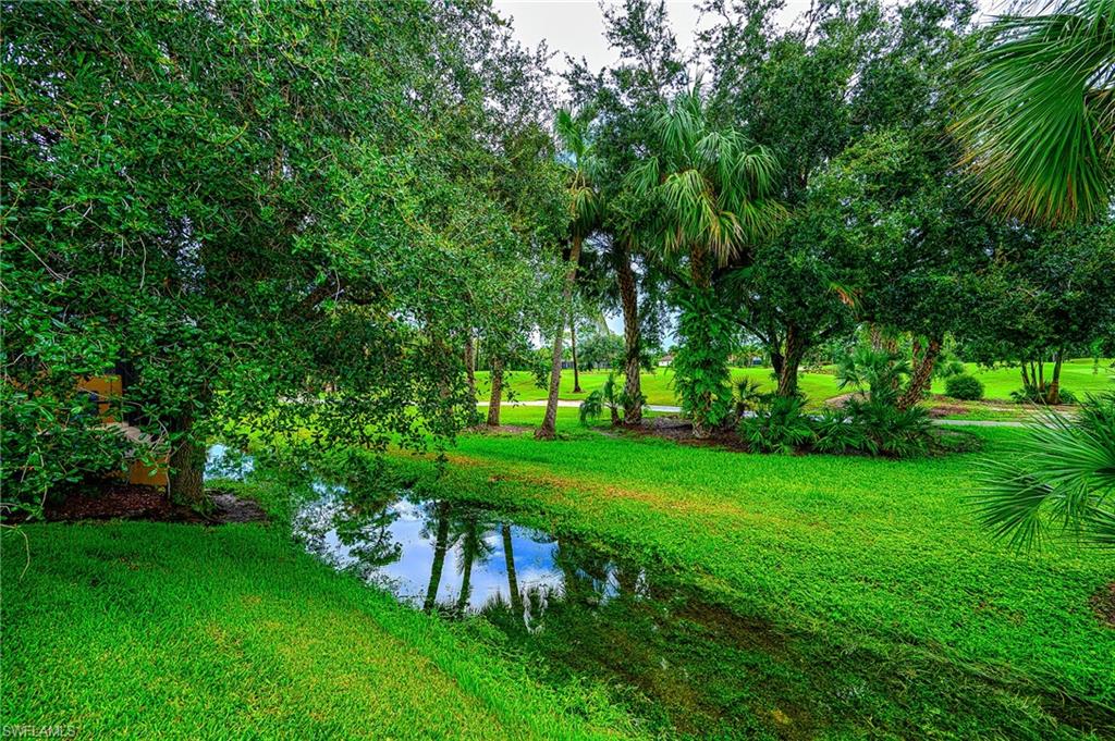 a view of a backyard with a garden