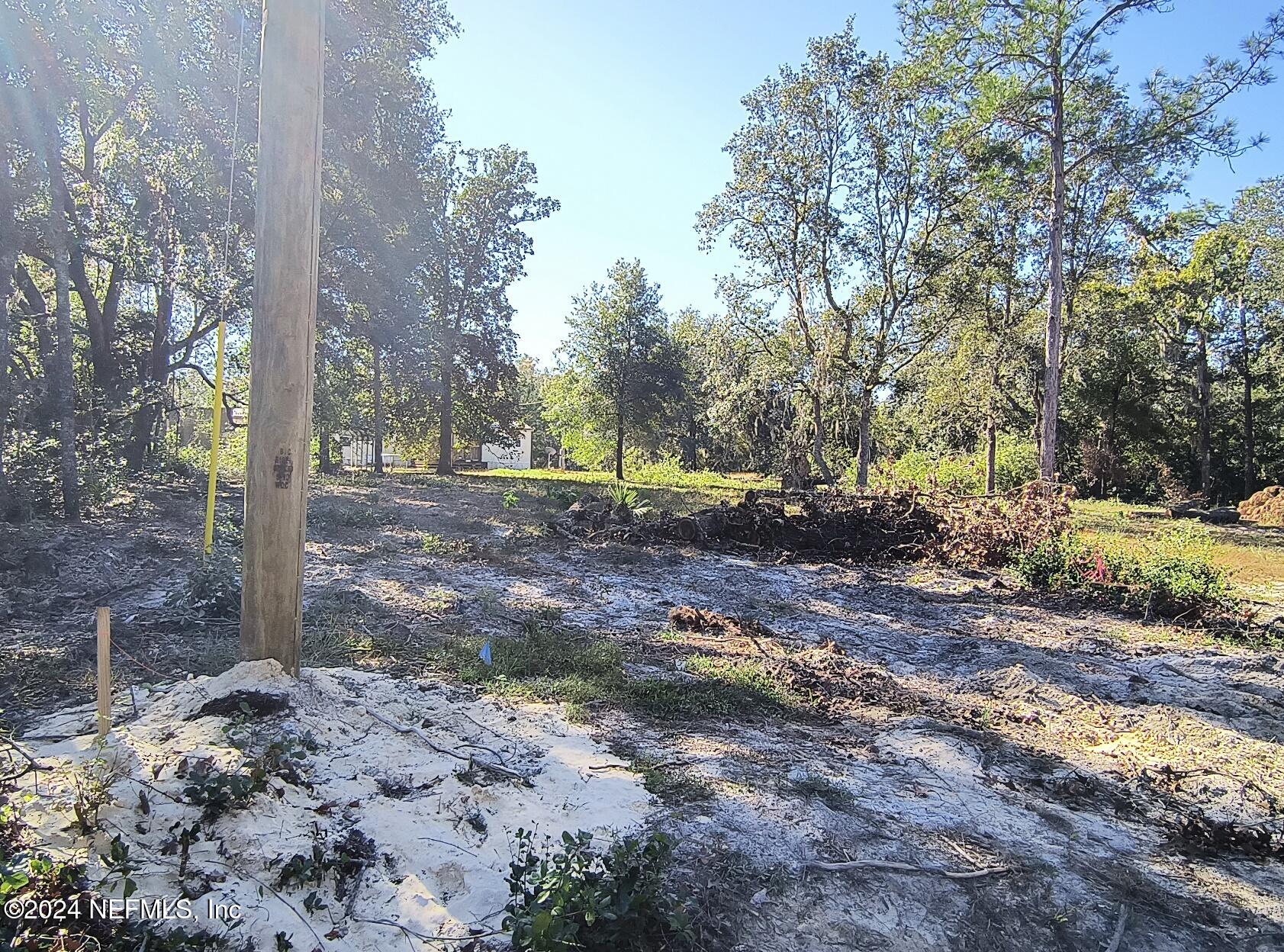 a view of backyard with green space