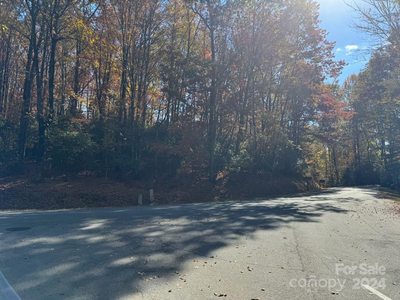 a view of road and trees