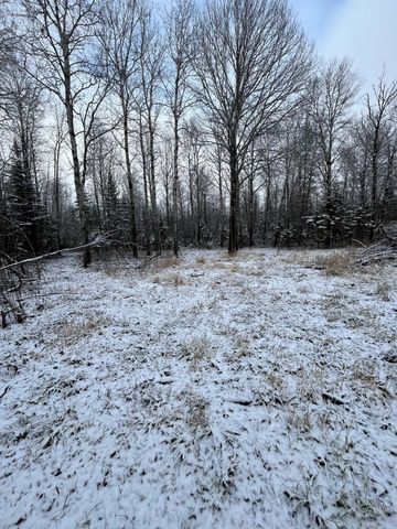 $40,000 | Tbd Tbd Pinewood Lane Northwest | Angle Inlet