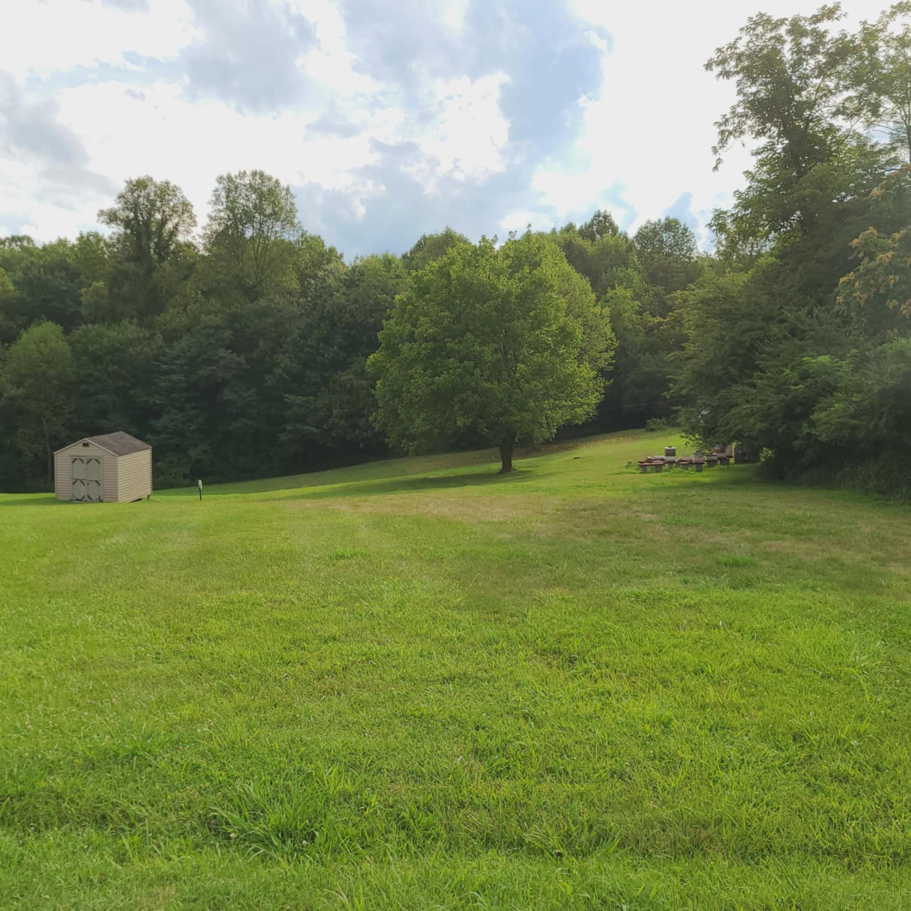 a view of an outdoor space and a yard