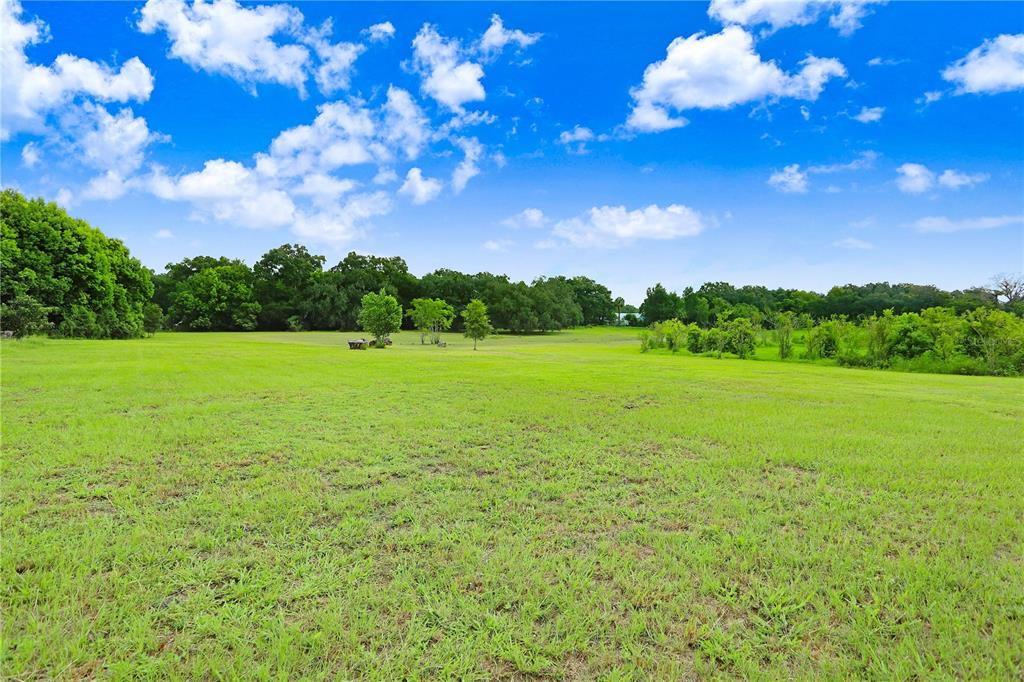 a view of a field with an trees