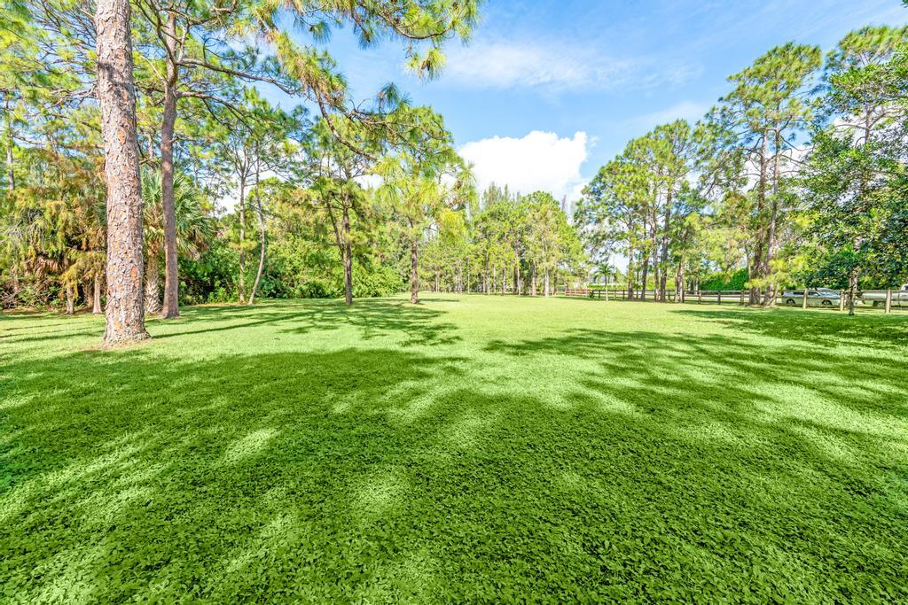 a view of a grassy field with trees