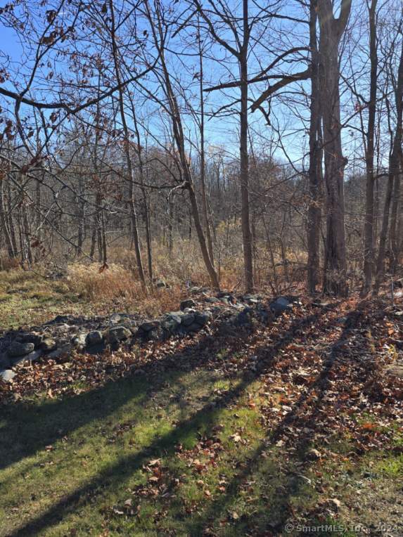 a view of backyard of green space